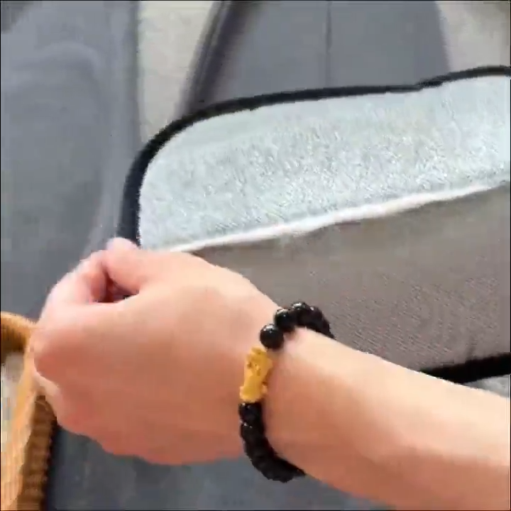 Manopla Quitapelos Reutilizable para Mascotas
